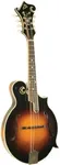 The Loar LM-600-VS Professional F-Style Mandolin, Sunburst
