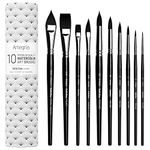 ARTEGRIA Watercolor Brush Set - 10 Professional Watercolor Paint Brushes for Artists - Soft Synthetic Squirrel Hair, Short Handles - Pointed Rounds, Flats, Dagger, Oval Wash for Water Color, Gouache