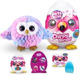 Pets Alive Chirpy Birds (OWL) by ZU