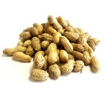 Peanuts in Shells 11.3kg Premium Safe Wild Bird Food Monkey Nuts Afflotoxin Free (11.3kg for the price of 10kg)