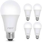 Feit Electric A19 LED Light Bulb, 6