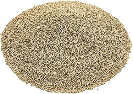 KAYSO INC Premium White Proso Millet Bird Seed Feed,10lbs Bulk Bag