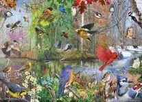 Cobble Hill 1000 Piece Puzzle - Birds of The Season - Sample Poster Included