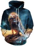 LAIDIPAS Unisex 3D Print Hoodies Cool Animal Sweatshirts for Men Women L