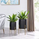 Oakrain Mid Century Planters for Indoor Plants, Set of 2, Modern Decorative Metal Planter Pots for Living Room, Office, Garden or Balcony, Black Planter with Glod Plant Stand, 10 inch & 12 inch