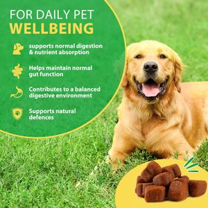 Dog Probiotics Chews – 120 Count Digestive Supplement for Pets