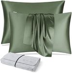 DISANGNI 100% Silk Pillow Cases 2 P