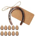 HDFSP 10pcs Lucky Horseshoe Wedding Favors with Kraft Tag, Vintage Metal Mini Horseshoe Decorations for Rustic Wedding Birthday Party Decorations