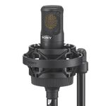 Sony C-80 Unidirectional Condenser Microphone