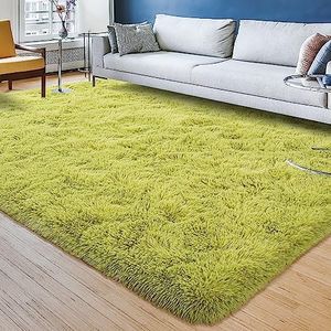 Przemy Fluffy Rug for Bedroom Living Room, 4 x 6 Feet Green Shag Area Rugs Soft Plush Fuzzy Carpet Throw Rug for Kids Room Girls Boys Dorm Nursery Indoor Home Decor