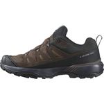 Salomon Men's X Ultra 360 Leather Gore-Tex Walking Shoe, Dark Earth/Delicioso/Sharkskin, 11 UK