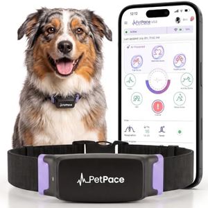 NEW Dog Health Monitor V3.0 by PetPace – AI Smart Collar with 24/7 Vital Signs, Pain & GPS Tracking, Telehealth AskaVet & Share With Your Vet, Smartwatch Sync – Subscription Required (Large)