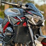 MOTOAGGRANDIZE Radiator Guard/Protector for Kawasaki Z900 | Colour: Black