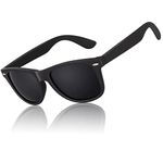 Wayfarer Sunglasses