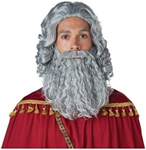 Wise Man Gray Wig and Beard Standard