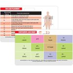 STEMI 12 Lead Reference and 12 Lead EKG (ECG) Placement Reference Horizontal Badge Card - Excellent Resource for Nurses, EKG Techs, EMT, Cardiology Tech, or Other Healthcare Professionals