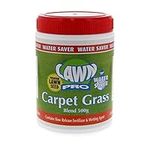 Lawn Pro Carpet Grass Blend Grass S