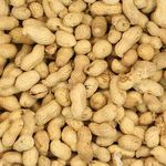 11.3kg Premium Safe Wild Bird Food Monkey Nuts Afflotoxin Free