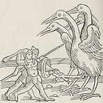 Fight Between Pygmies and Cranes. A