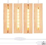 RUIITEN 4 Pack 6 inch Rectangle Display Pedestals, Warm Color Rectangle Led Lights Display Base, Crystal Wooden Lighted Base Stand for Acrylic, Crystal, Night Light, Glass Resin Art