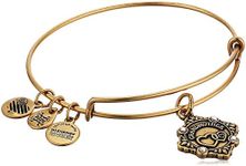 Alex and Ani Womens Because I Love You A18BILY05RG Grandmother Charm Bangle Bracelet, Rafaelian Gold, Expandable, Expandable, Crystal