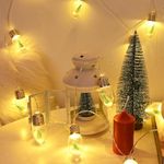 NYRWANA Christmas Tree Snow Globe String Lights, 10 LED Clear Bulbs Christmas Tree String Lights