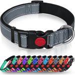 Taglory Reflective Nylon Dog Collar with Safety Buckle, Adjustable Pet Collars with Soft Neoprene Padding for Puppy Dogs, XS,Grey