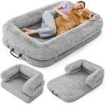 Lesure Foldable Human Dog Bed - 3 i