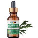 Organix Mantra Eucalyptus Essential Oil for Diffuser, Skin & Hair 100% Natural Eucalyptus Oil for Skin, Humidifier, Sinus & Making DIY - 15ML