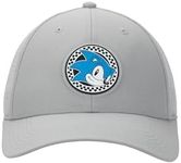 Sonic The Hedgehog Sonic Head Adult Gray Traditional Adjustable Hat