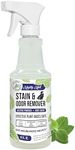 Mighty Mint Stain & Odor Remover, N