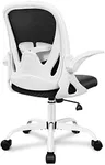 Primy Office Chair Ergonomic Desk Chair with Adjustable Lumbar Support and Height, Swivel Breathable Desk Mesh Computer Chair with Flip up Armrests for Conference Room(White)