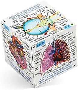 ZooBooKoo Human Body Systems and Statistics Cube Book