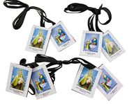 Westmon Works Scapulars in Bulk Catholic Traditional Brown Wool Scapular Bulk Pack with Gift Bag, Set of 12