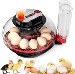 Egg Incubators for Hatching Eggs, Incubator for 12 Eggs with Automatic Turning & Auto Water Filling, Temperature & Humidity Control, Egg Incubator for Chicken, Quails, Ducks, Goose, Pigeon, Parrot