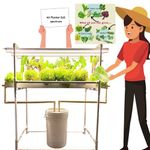 City Greens Full Spectrum 40 Planter Hydroponic Indoor Kit for Homes, Offices, Small Spaces | 5 Full Spectrum (White Lights) - Smart Farming.