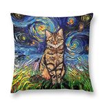 Abstract Cat Throw Pillow Cover 18"x18" Funny Cat Throw Pillowcase for Couch Sofa Bed Bedroom Car Living Decor