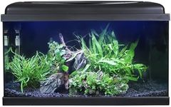 Swell Aquarium 60cm Tropical Freshw