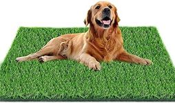 Fortune-star Artificial Grass Dog Grass Mat and Grass Doormat Indoor Outdoor Rug Fake Grass Turf for Dogs Potty Training Area Patio Lawn Decoration (80 x 130 cm)