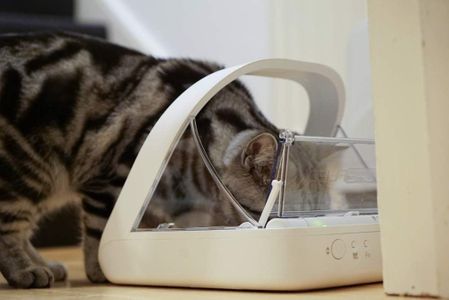 SureFeed Microchip Pet Feeder – Automatic Food Dispenser, White