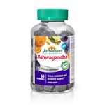 Jamieson Ashwagandha Gummies Citrus Grape Flavour, Increases Resistance to Stress, Adaptogen, and Improves Memory. Non-GMO, Gluten-Free, No Artificial Colours, Flavours, or Preservatives, 60 Count