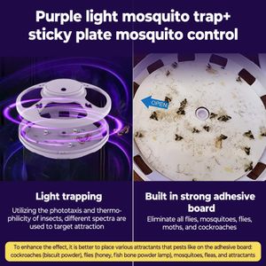 Flea Trap 2-Pack – Black Insect Catcher for Home Pest Control