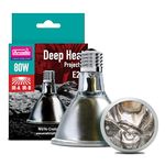 Arcadia Deep Heat Projector, 80 Watt