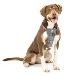 Kurgo Tru-Fit Enhanced Strength Dog Harness - Crash Tested Car Safety Harness for Dogs, No Pull Dog Harness, Includes Pet Safety Seat Belt, Steel Nesting Buckles (Charcoal, Medium)