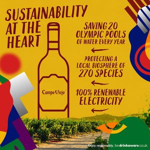 Campo Viejo Tempranillo Rioja Red Wine, 75cl Bottle