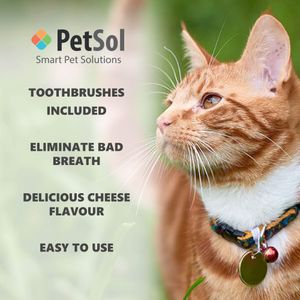 PetSol Dental Care Kit for Dogs and Cats, 100g Toothpaste