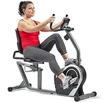 Sunny Health & Fitness Magnetic Rec