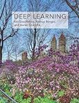 Deep Learning (Adaptive Computation