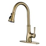 Gold Kitchen Sink Faucet with Pull 