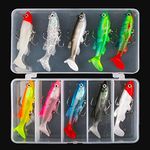 Pack Of Lures